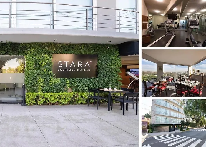 Capitalia Peaceful In Southern Cdmx With Gym 204 *